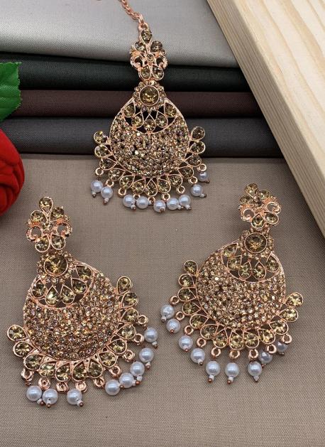 Brass Beautiful Multi Color Meenakari Earrings With Maang Tikka (MTKE421)  at Rs 374/set in Jaipur